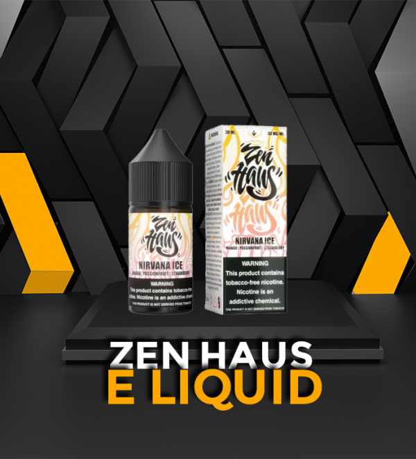 elfbar nachfüll pod läuft aus GEEK BAR DISPOSABLE VAPE IN BLUEBERRY ICE main image 1